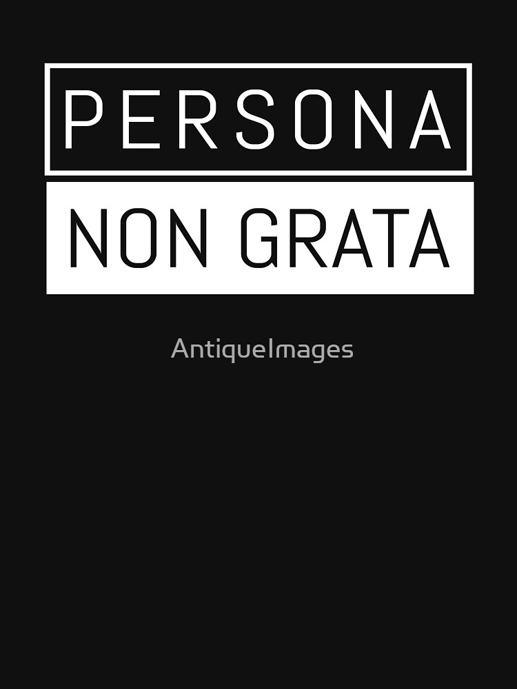 Persona Non Grata Person Not Welcome Pullover Hoodie - Image 4